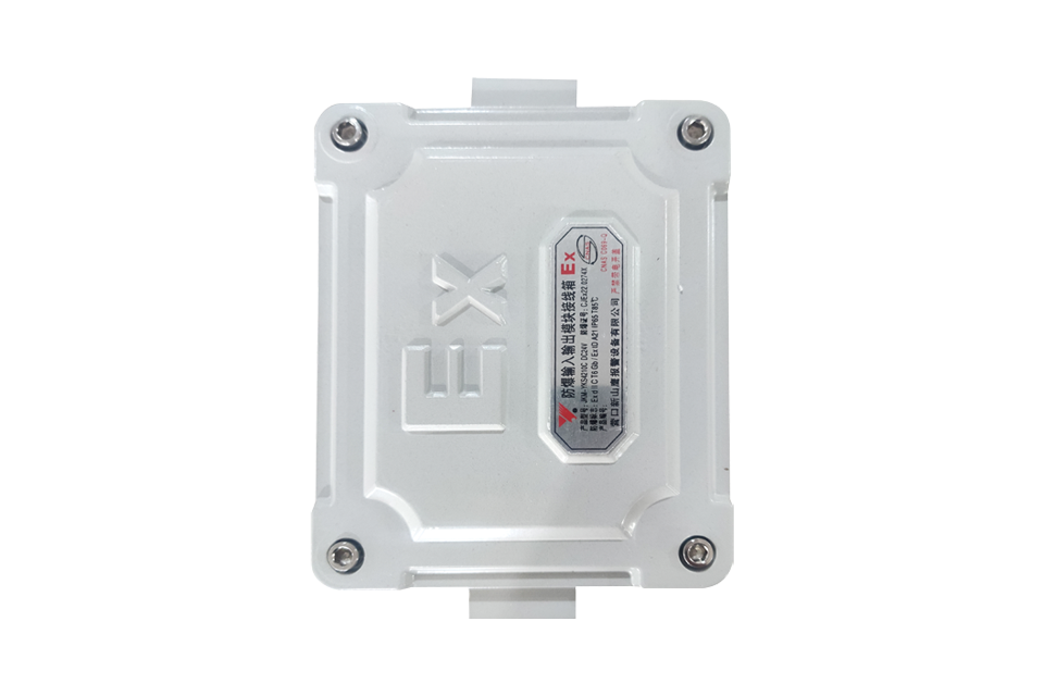 Explosion-proof module